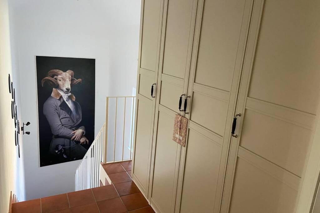 Terrassen Appartement Ueber Den Daechern Von Krems 外观 照片